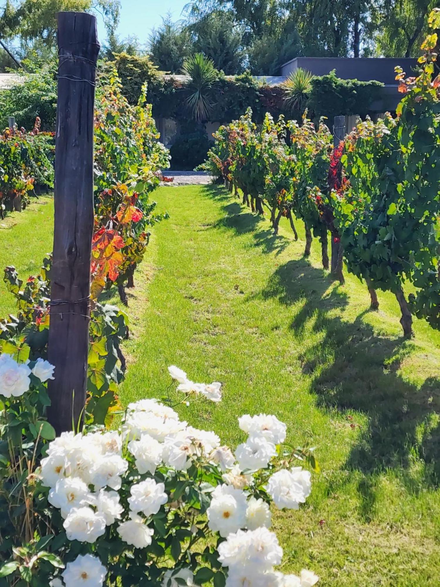 Finca La Puebla Hotel La Consulta ภายนอก รูปภาพ