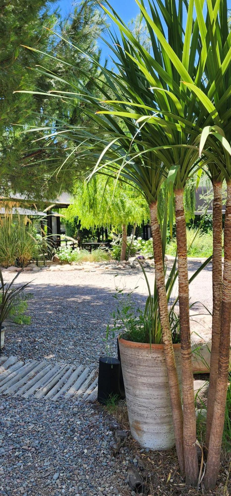 Finca La Puebla Hotel La Consulta ภายนอก รูปภาพ