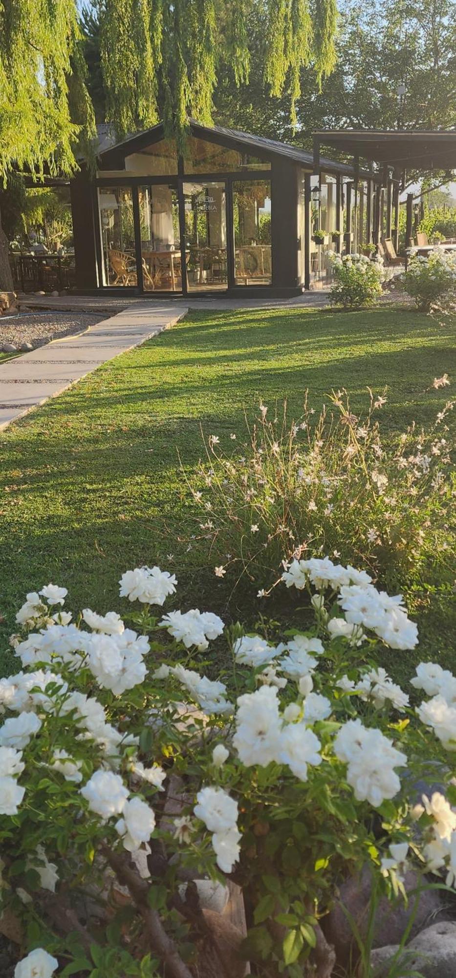 Finca La Puebla Hotel La Consulta ภายนอก รูปภาพ